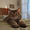 felix_duplessis